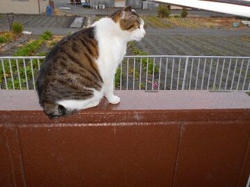 2月14日（21）仮