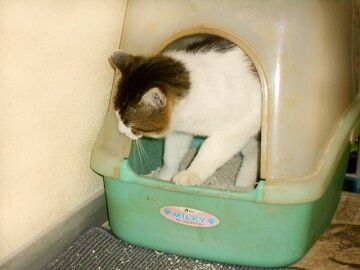 5月19日（27）仮