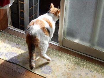 9月18日（8-3）仮