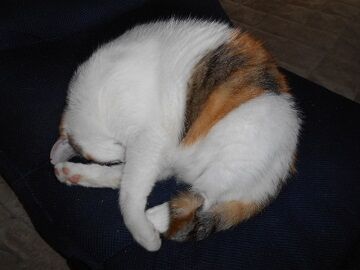 9月24日（7-1）仮