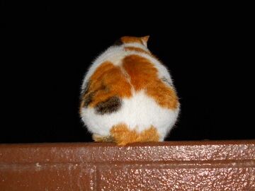 3月24日（37）仮