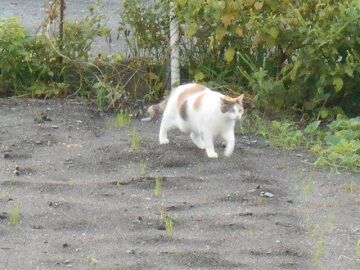 9月14日（6-7）仮