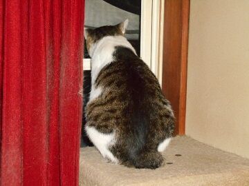 6月21日（43）仮