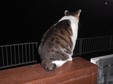 10月6日（20-9）仮