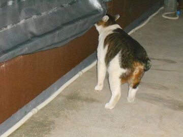 1月30日（42）仮