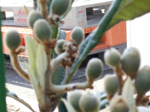 DSCN0965