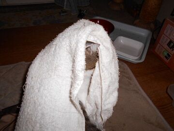 10月7日（22-3）仮