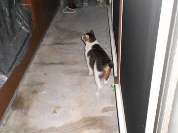 10月7日（23-12）仮