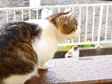 5月12日（11）仮