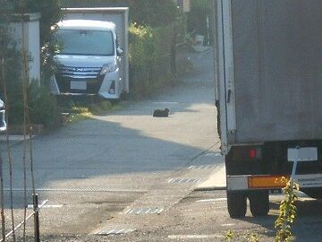 8月24日（28）仮