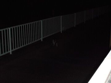 10月2日（20-12）仮