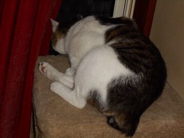 9月27日（23-3）仮