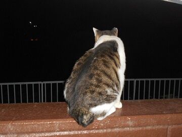 9月24日（23-16）仮