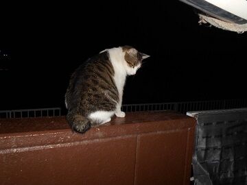 9月23日（22-10）仮