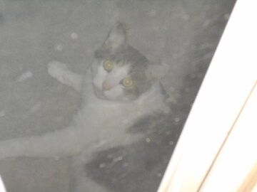 8月30日（27）仮