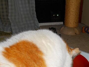 5月10日（64）仮