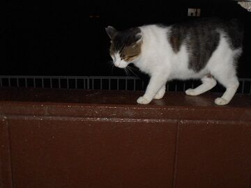 10月1日（19-16）仮