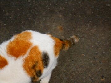 5月10日（13）仮