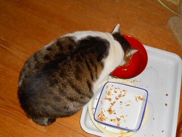 12月24日（26）仮