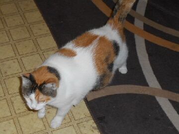 10月2日（20-19）