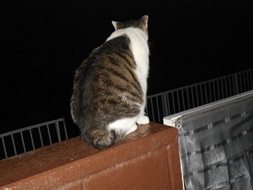 9月15日（3-7）仮