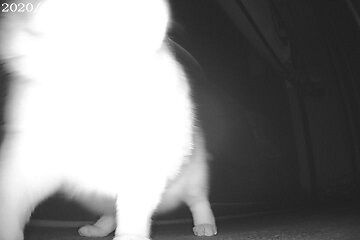 4月25日（14）仮