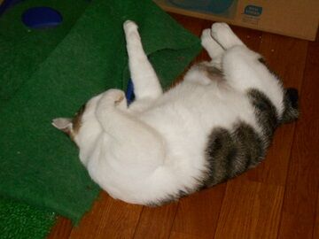 9月16日（33）仮