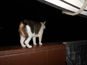 9月23日（22-8）仮