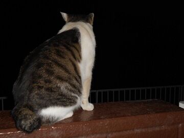 9月23日（22-12）仮