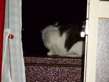 9月29日（20-9）仮