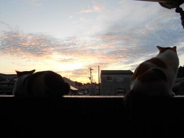 9月30日（18）仮