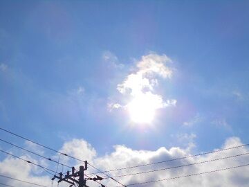 1月15日（30）仮