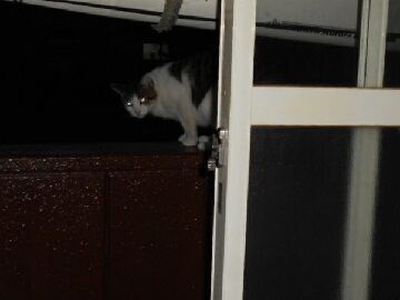 9月21日（5-11）仮