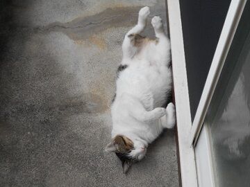 9月25日（12-3）仮