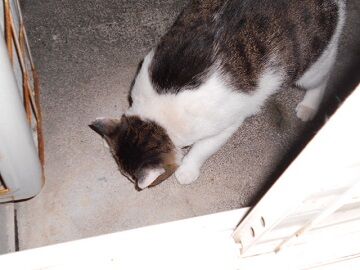 10月7日（22-12）仮