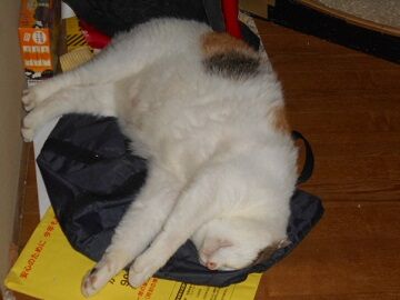 9月17日（20-5）仮