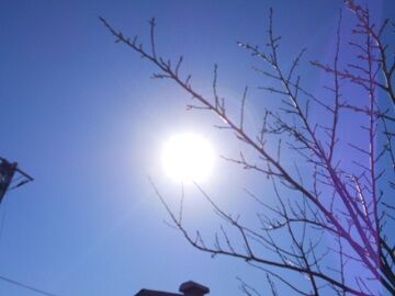 2月17日（31）仮