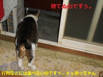 9月21日（5-7）仮