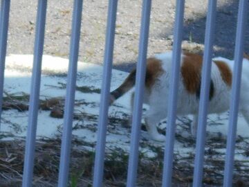 7月31日（27）仮