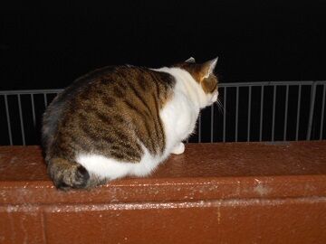 12月23日（19）仮