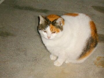 12月31日（24）仮