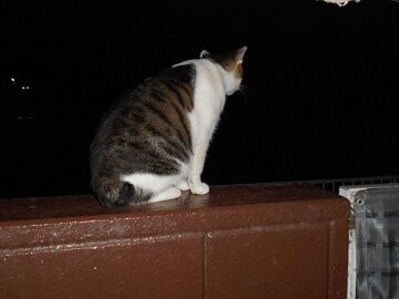 9月29日（20-3）仮