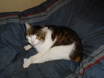 3月28日（10）仮