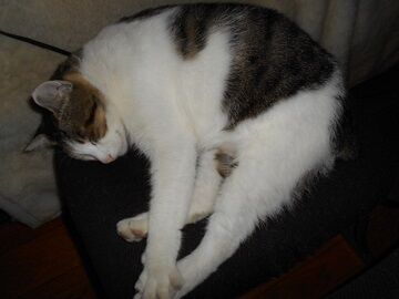 10月2日（7-3）仮