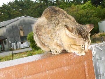 5月28日（48）仮