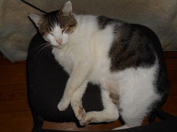 10月2日（15-3）仮