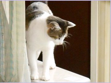 6月15日（18）仮