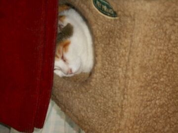 9月26日（10-4）仮