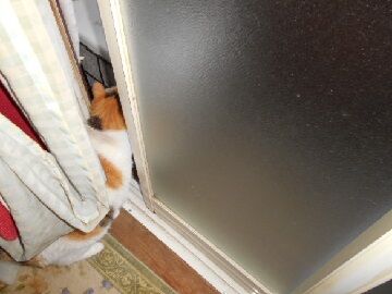 6月20日（45）仮