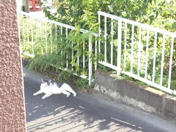 9月8日（16）使用